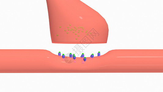 立体动画多动症中的神经递质释放设计图片