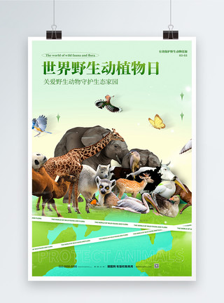 动物野生世界野生动植物日海报模板