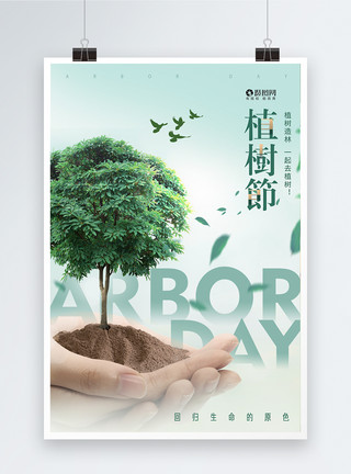 爱护树木大气简约植树节节日海报模板