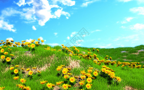 草坪雏菊3d春天场景设计图片