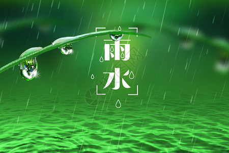 草螺纹水滴清新绿色雨水背景设计图片