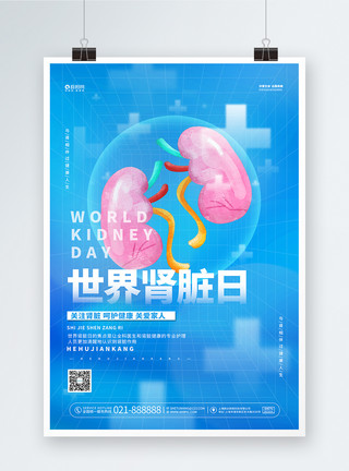 肾素材简约蓝色世界肾脏日公益宣传海报设计模板