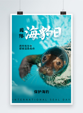 小型哺乳动物简约时尚国际海豹日海报模板