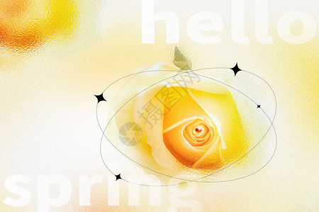 黄玫瑰花茶弥散玻璃风春天背景设计图片
