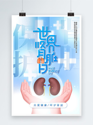 医疗器官世界肾脏日海报模板
