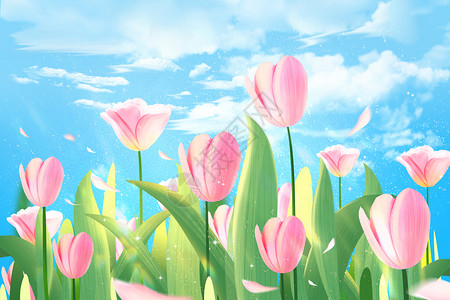 粉色蓝色背景春天温暖治愈郁金香花海配图插画