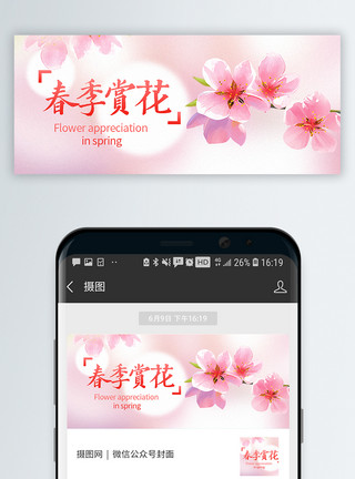 观海公园春季赏花公众号封面配图模板