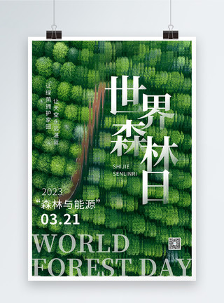 大与小简约大气世界森林日海报模板