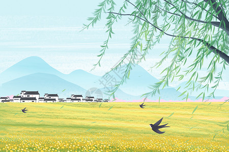 柳树叶子清明节春天的乡村在油菜花盛开的户外插画