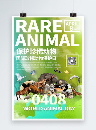 珍稀物种简洁大气国际珍稀动物保护日海报模板