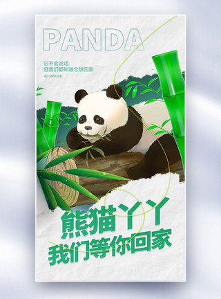 熊猫和竹子欢迎熊猫丫丫回家撕纸风全屏海报模板