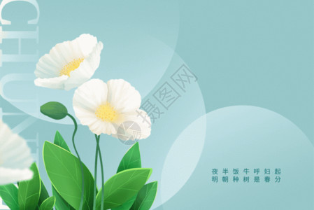 简约花瓶春分节气背景GIF高清图片