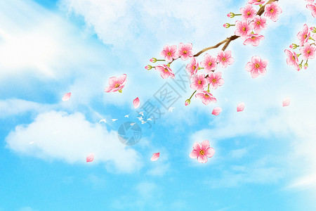 樱花枝春天樱花背景设计图片
