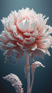 3D建模花朵图片
