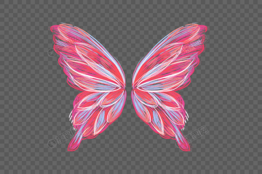 炫彩翅膀粉色蝴蝶图片