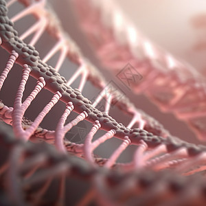 网编吊床人体DNA基因设计图片