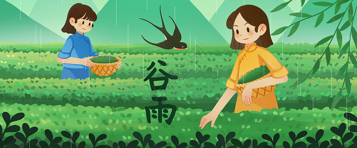 谷雨采茶的女孩插画banner高清图片