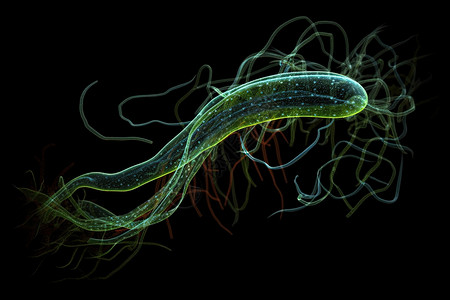 蠕虫病毒黑背景长细胞设计图片