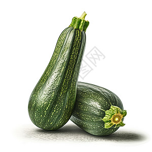 健康绿色蔬菜西葫芦插画