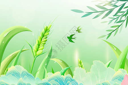 春天的麦穗清新国风背景设计图片