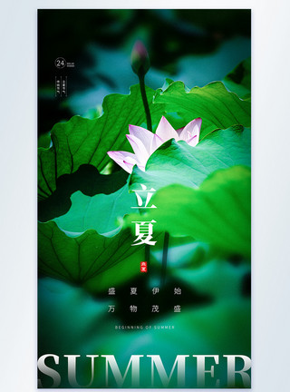 郑州风景立夏二十四节气摄影图海报模板