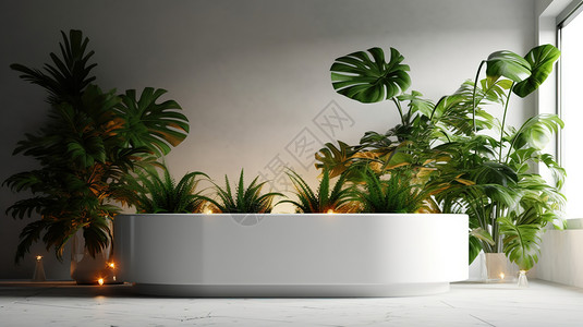 浴室装饰植物装饰背景插画