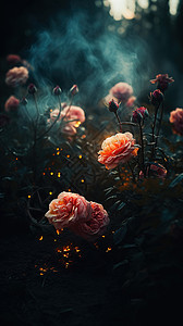 深色玫瑰花插图背景图片