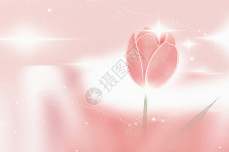一朵粉色花粉色弥散温柔花朵背景设计图片