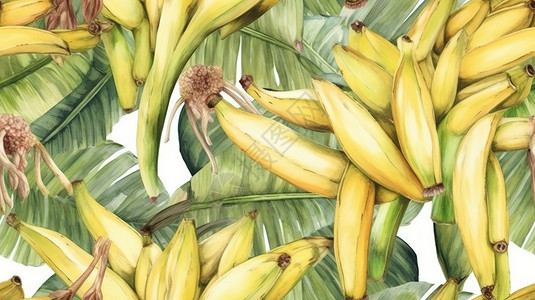 香蕉水彩画图片