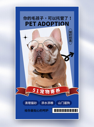 宠物小店创意简约51宠物寄养全屏海报模板
