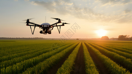 农田无人机带摄像头的无人机插画