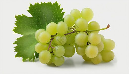 绿色的有机葡萄背景图片