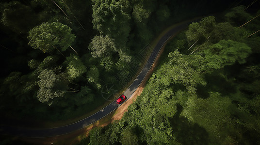俯视汽车绿色树林里的公路插画
