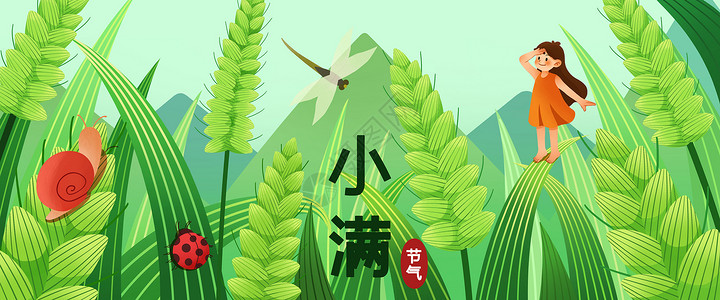 小满卡通字小满稻谷卡通插画banner插画