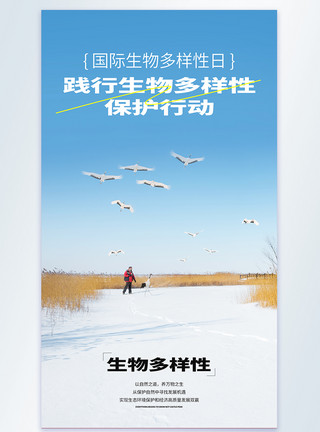 野生动物摄影国际生物多样性日摄影图海报模板