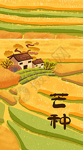 风吹打麦浪二十四节气芒种丰收秋季小麦田手绘风竖版插画插画