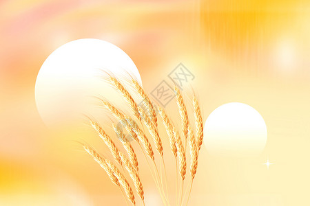 黑麦仁弥散风麦穗背景设计图片