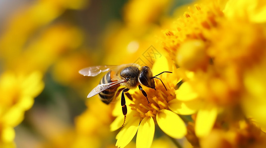 自然蜂蜜蜂蜜采蜜的近景插画