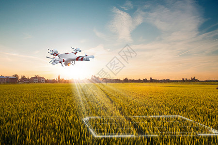 技术麦田科技农业设计图片