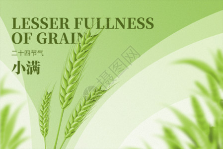 绿色麦子边框小麦绿色大气创意麦穗gif动图高清图片