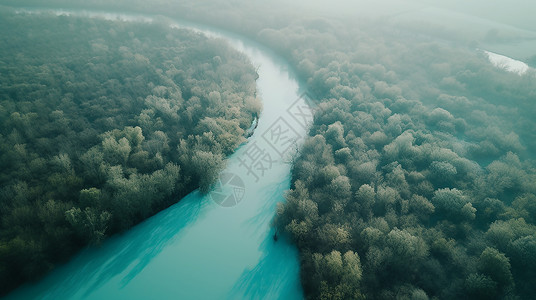 河流俯视广袤雨林热带风景插画