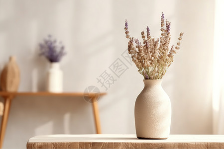 美丽的客厅简约米色陶瓷花瓶干花插画