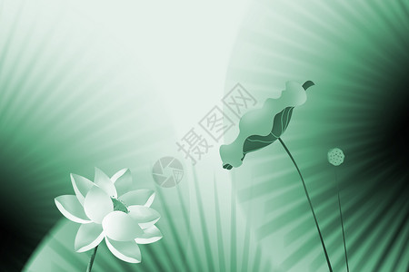 荷花白色绿色中式水墨渐变艺术背景设计图片
