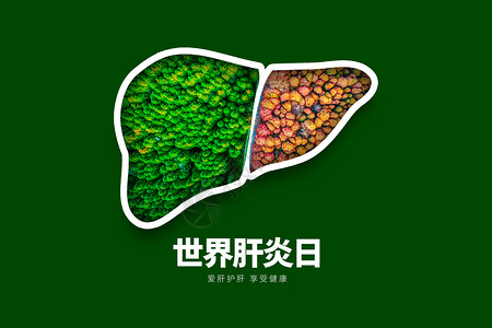 世界肝炎日绿色创意树林肝脏图片