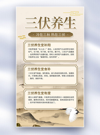 三伏养生中国风全屏海报模板