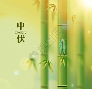 翠绿的竹林三伏天唯美创意竹林gif动图高清图片