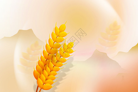 金黄花朵光效秋天麦穗背景设计图片