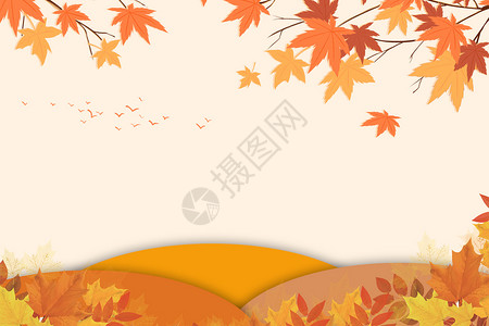 枫叶之中秋天简约背景设计图片