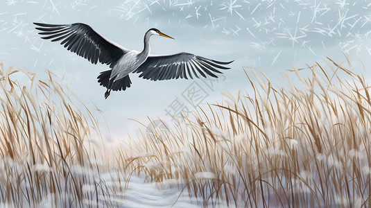 飞行鹈鹕白鹭展翅飞翔下雪天插画