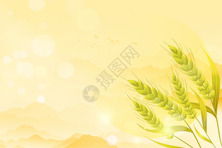 秋天的麦穗唯美大气秋日麦穗背景设计图片